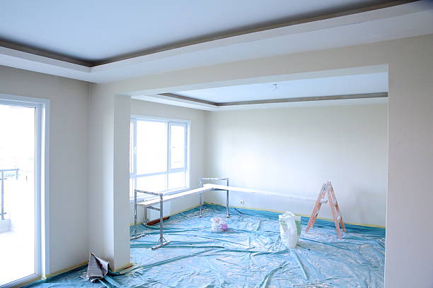 Best Painting for New Construction  in Morrice, MI